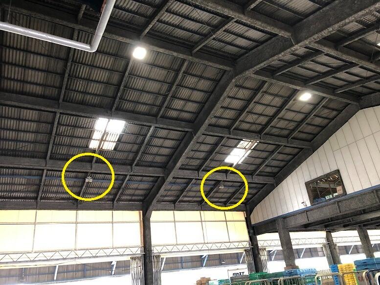 高天井照明器具の取替電気工事